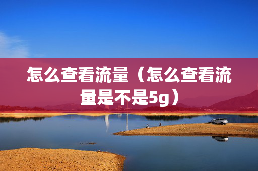 怎么查看流量（怎么查看流量是不是5g）