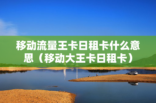 移动流量王卡日租卡什么意思（移动大王卡日租卡）