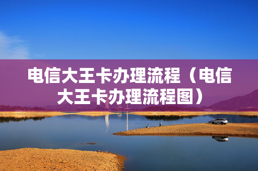 电信大王卡办理流程（电信大王卡办理流程图）