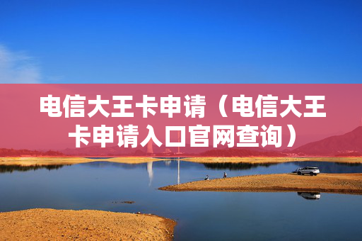 电信大王卡申请（电信大王卡申请入口官网查询）