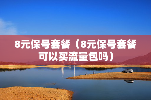 8元保号套餐（8元保号套餐可以买流量包吗）