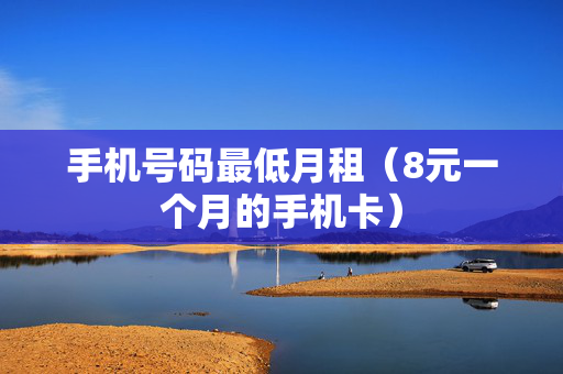 手机号码最低月租（8元一个月的手机卡）
