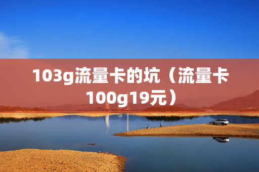 103g流量卡的坑（流量卡100g19元）