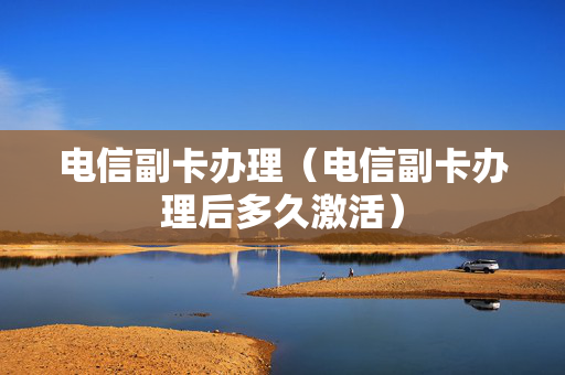 电信副卡办理（电信副卡办理后多久激活）