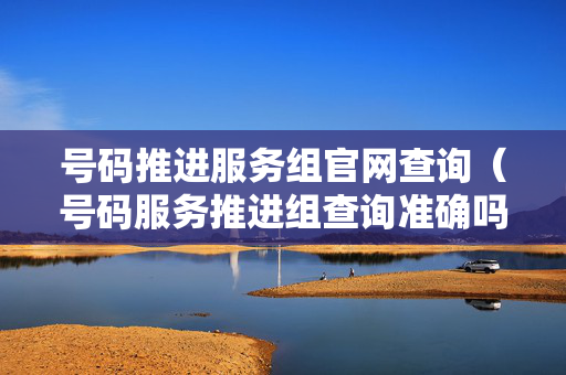 号码推进服务组官网查询（号码服务推进组查询准确吗）
