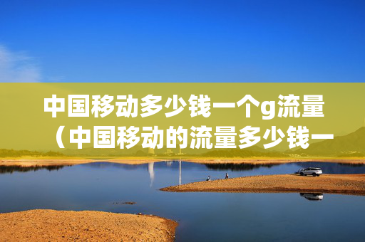 中国移动多少钱一个g流量（中国移动的流量多少钱一g）