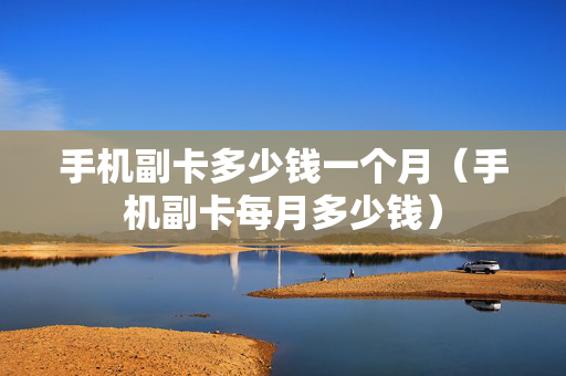 手机副卡多少钱一个月（手机副卡每月多少钱）
