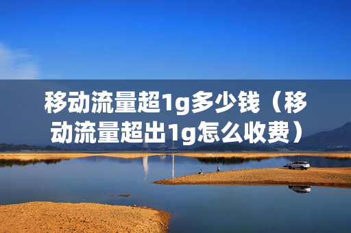 移动流量超1g多少钱（移动流量超出1g怎么收费）