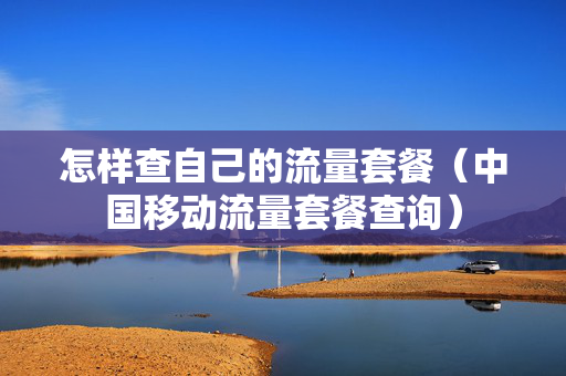 怎样查自己的流量套餐（中国移动流量套餐查询）