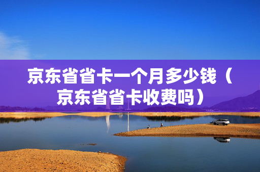 京东省省卡一个月多少钱（京东省省卡收费吗）