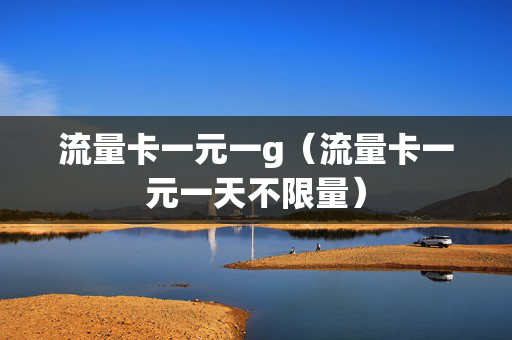 流量卡一元一g（流量卡一元一天不限量）