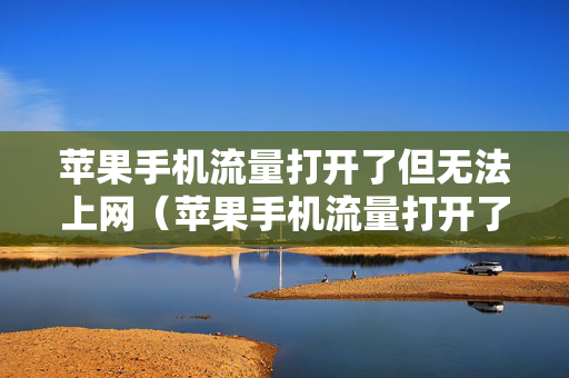 苹果手机流量打开了但无法上网（苹果手机流量打开了但无法上网怎么办）