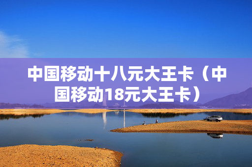 中国移动十八元大王卡（中国移动18元大王卡）