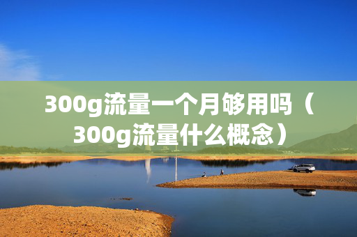 300g流量一个月够用吗（300g流量什么概念）