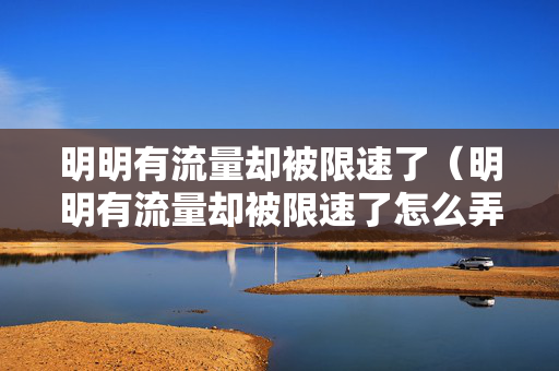 明明有流量却被限速了（明明有流量却被限速了怎么弄）