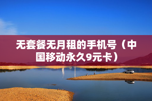 无套餐无月租的手机号（中国移动永久9元卡）