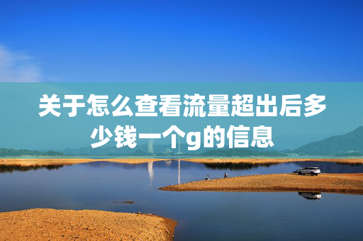 关于怎么查看流量超出后多少钱一个g的信息