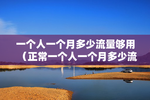 一个人一个月多少流量够用（正常一个人一个月多少流量）