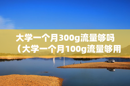 大学一个月300g流量够吗（大学一个月100g流量够用吗）