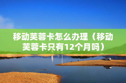 移动芙蓉卡怎么办理（移动芙蓉卡只有12个月吗）