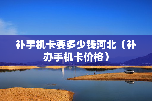 补手机卡要多少钱河北（补办手机卡价格）