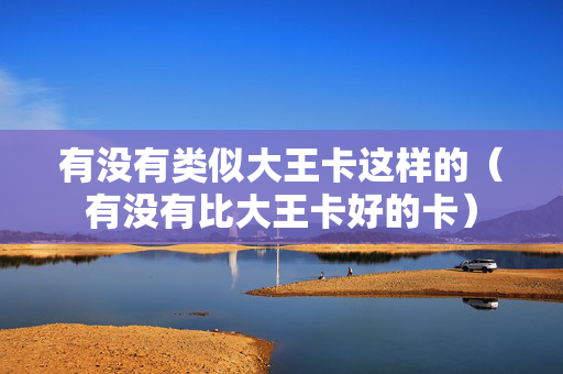 有没有类似大王卡这样的（有没有比大王卡好的卡）
