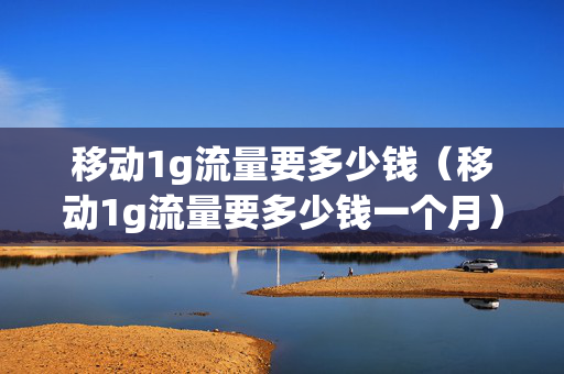移动1g流量要多少钱（移动1g流量要多少钱一个月）