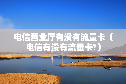 电信营业厅有没有流量卡（电信有没有流量卡?）