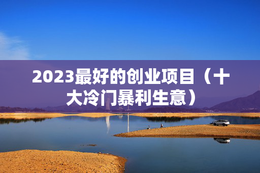 2023最好的创业项目（十大冷门暴利生意）