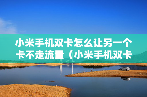 小米手机双卡怎么让另一个卡不走流量（小米手机双卡怎么设置只用一个卡的流量）