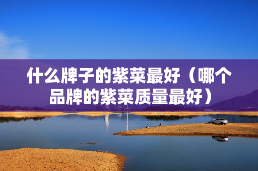 什么牌子的紫菜最好（哪个品牌的紫菜质量最好）