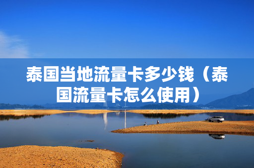 泰国当地流量卡多少钱（泰国流量卡怎么使用）