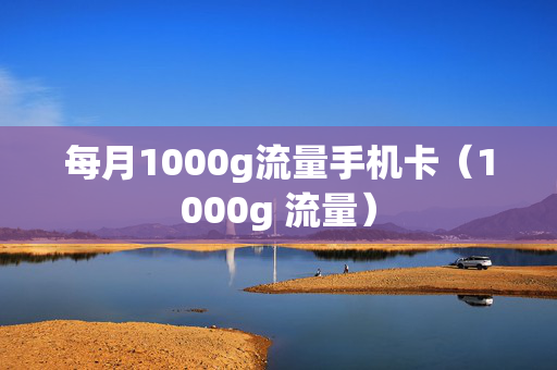 每月1000g流量手机卡（1000g 流量）