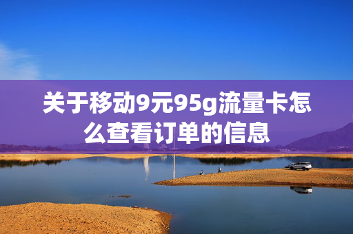关于移动9元95g流量卡怎么查看订单的信息