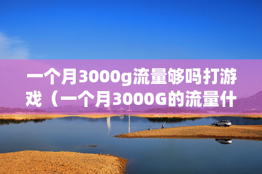 一个月3000g流量够吗打游戏（一个月3000G的流量什么概念）