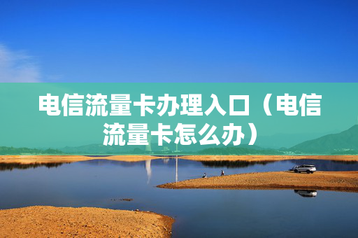 电信流量卡办理入口（电信流量卡怎么办）
