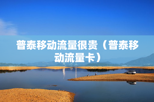 普泰移动流量很贵（普泰移动流量卡）