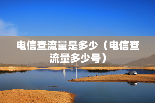电信查流量是多少（电信查流量多少号）