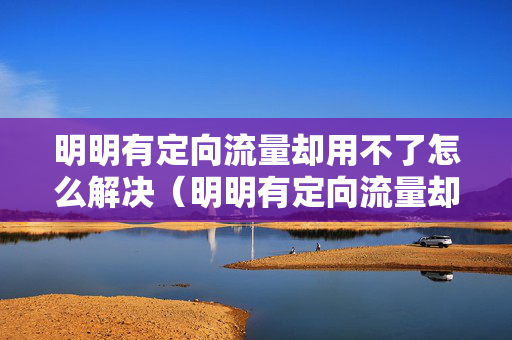 明明有定向流量却用不了怎么解决（明明有定向流量却用不了怎么解决方法）