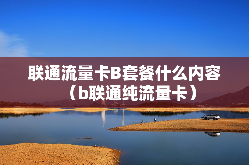 联通流量卡B套餐什么内容（b联通纯流量卡）