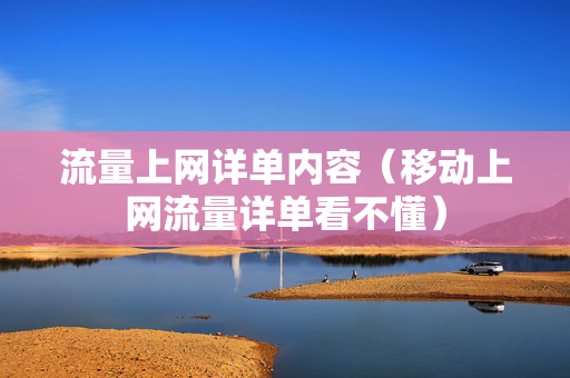 流量上网详单内容（移动上网流量详单看不懂）