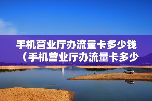 手机营业厅办流量卡多少钱（手机营业厅办流量卡多少钱啊）