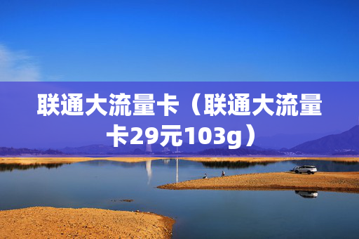 联通大流量卡（联通大流量卡29元103g）