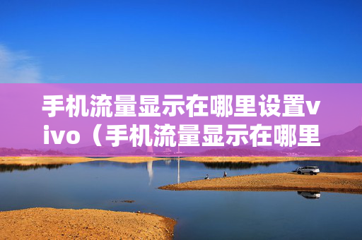 手机流量显示在哪里设置vivo（手机流量显示在哪里设置）