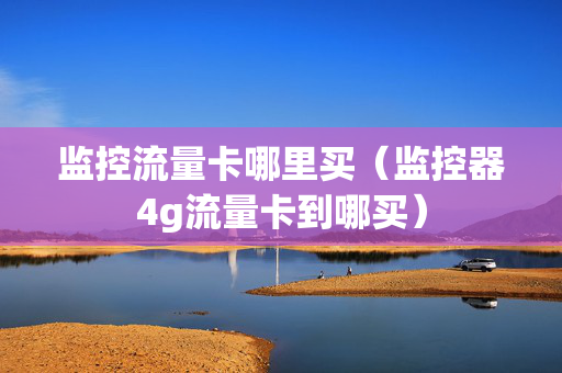监控流量卡哪里买（监控器4g流量卡到哪买）