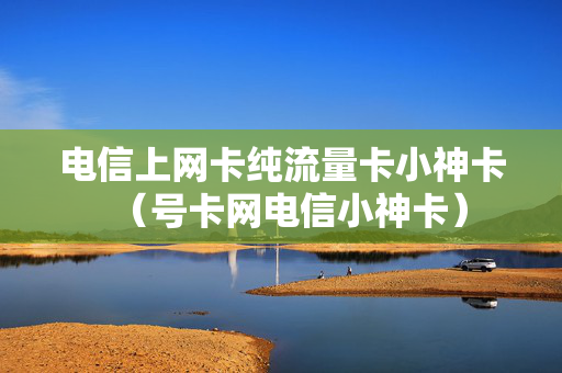 电信上网卡纯流量卡小神卡（号卡网电信小神卡）