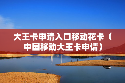大王卡申请入口移动花卡（中国移动大王卡申请）
