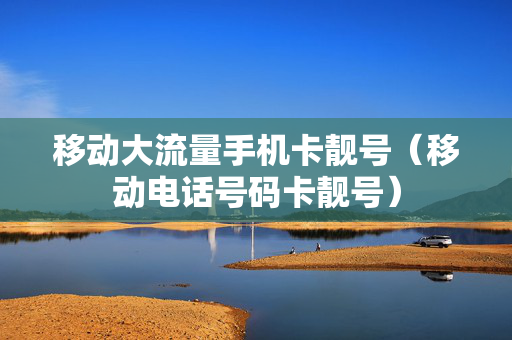 移动大流量手机卡靓号（移动电话号码卡靓号）