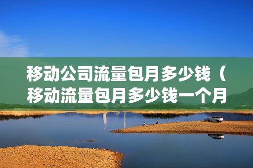 移动公司流量包月多少钱（移动流量包月多少钱一个月,一个g流量是多少分钟）