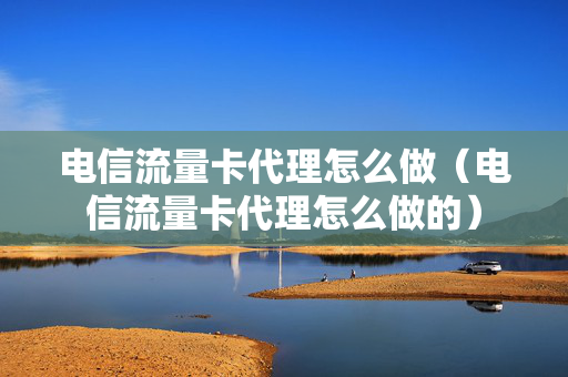 电信流量卡代理怎么做（电信流量卡代理怎么做的）